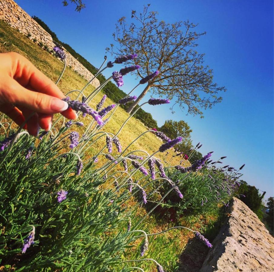 مبيت وإفطار ألبيروبيللو Trulli Panoramici المظهر الخارجي الصورة