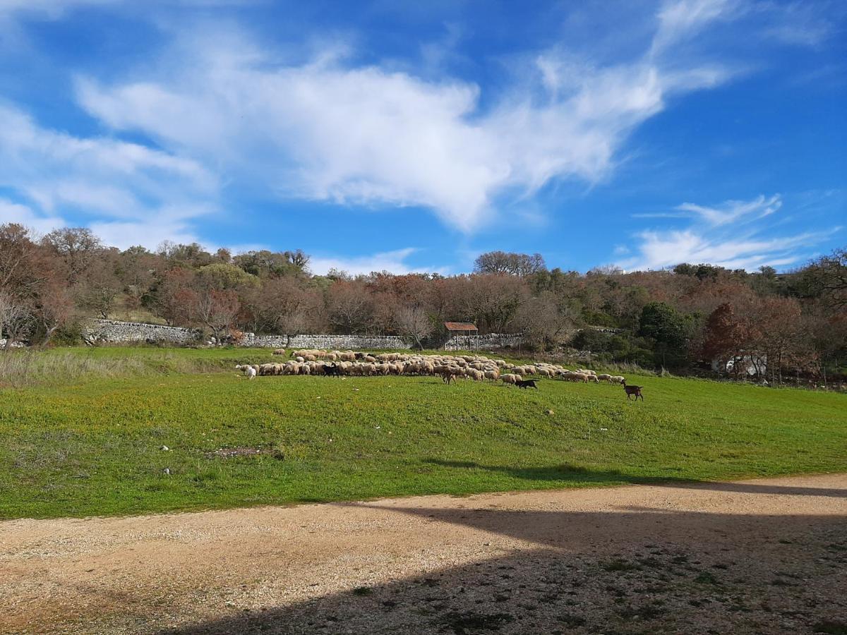 مبيت وإفطار ألبيروبيللو Trulli Panoramici المظهر الخارجي الصورة